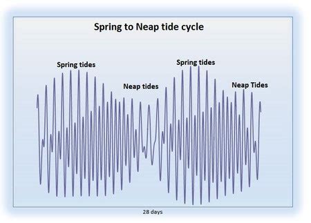 Tides - Marine Science Australia