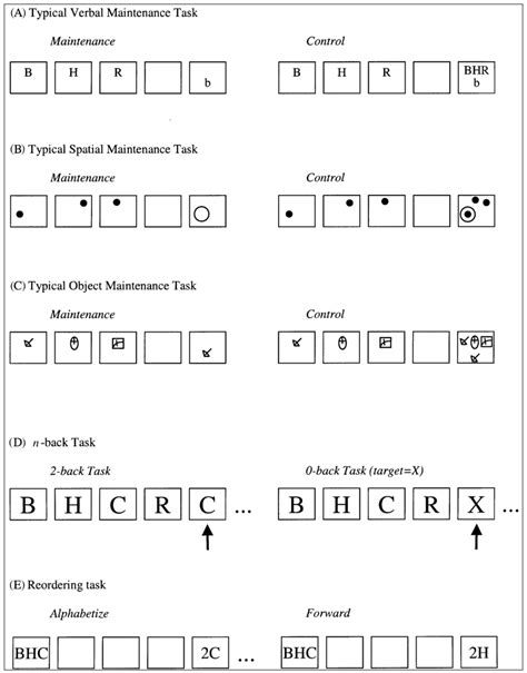 Schematic representation of working memory tasks. | Download Scientific Diagram