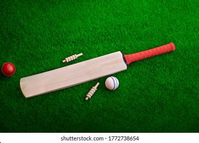 Cricket Bat Ball Place On Cricket Stock Photo 1772738654 | Shutterstock