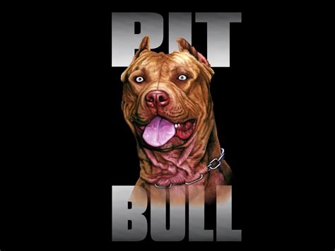 Pitbull Dog Wallpapers - Wallpaper Cave