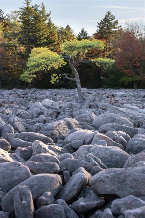 Exploring the Boulder Field in Hickory Run State Park: Everything You ...