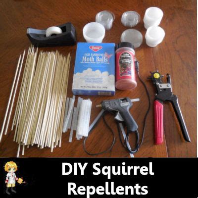 Squirrel Repellents - DIY project - The Gardening Cook