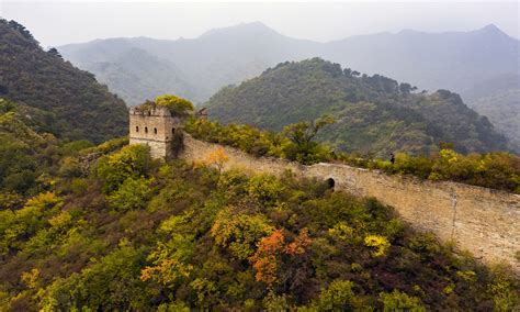 Biological community protects Great Wall’s earthen sections from ...