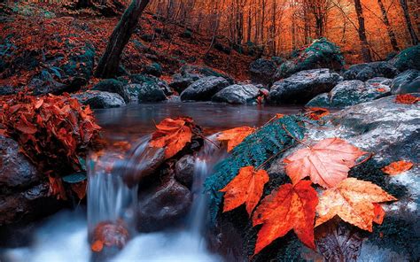 Glade Creek Grist Mill, rocks, forest, stream, America, autumn, watermill, HD wallpaper | Peakpx