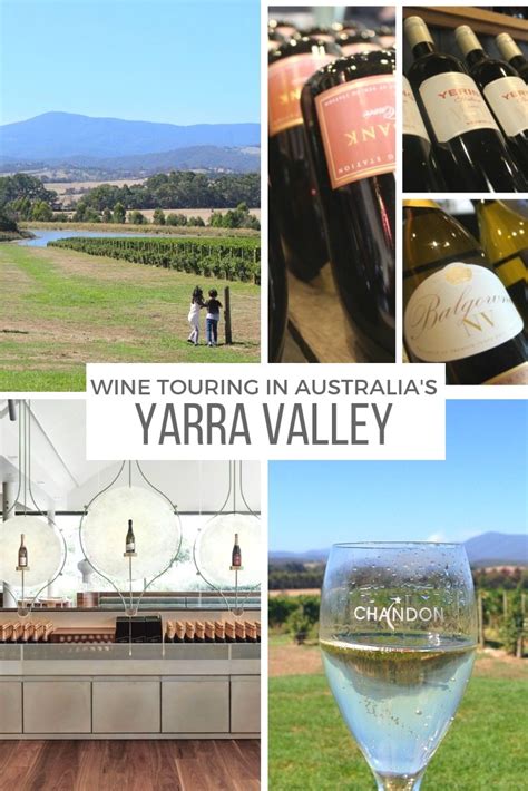 A starter guide to Yarra Valley wine tours