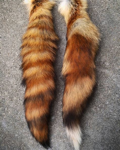 Red Fox Tails by kazscreations on DeviantArt