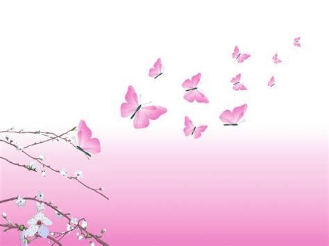 Free Butterfly Background, Download Free Butterfly Background png images, Free ClipArts on ...