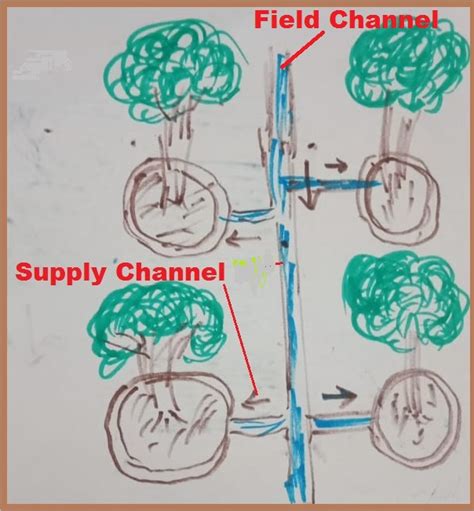 Importance and Types of Surface Irrigation System - Agrovista-Farming