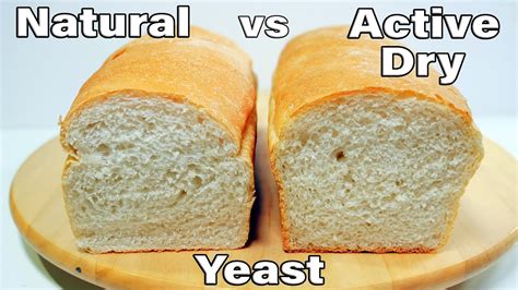 Instant Yeast Vs Active Dry Yeast In Bread Machine at Quinn Tremaine blog