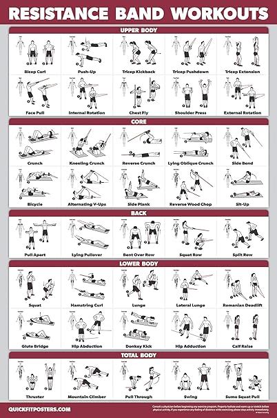 QUICKFIT Resistance Bands Workout Exercise Poster - Double Sided (Laminated, 18" x 27") : Amazon ...