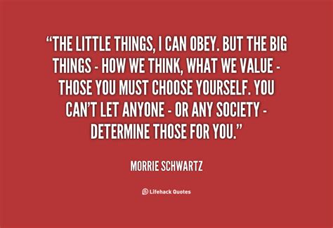 Morrie Schwartz Quotes. QuotesGram