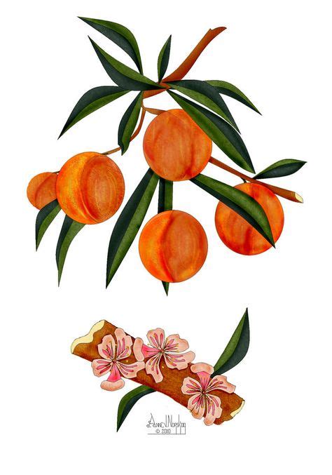 30+ Best Peach Blossom Tattoo ideas | blossom tattoo, peach blossoms, tattoos