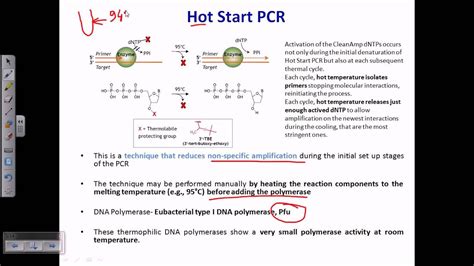 Hot start PCR - YouTube