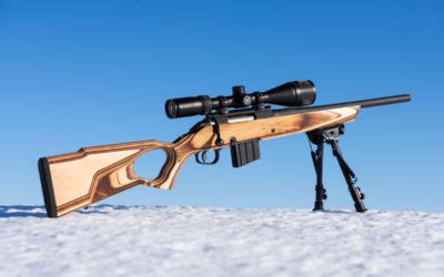 Replacement Rifle Stocks Offer Many Options - Sporting Classics Daily