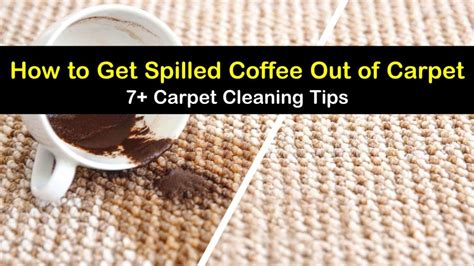 7+ Ways to Get Spilled Coffee Out of Carpet