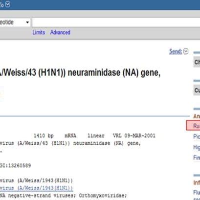 Nucleotide Sequence 1 3. Process of Nucleotide Sequence Alignment BLAST... | Download Scientific ...