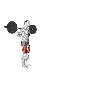 Barbell Walking Lunge - Guide, Benefits, and Form