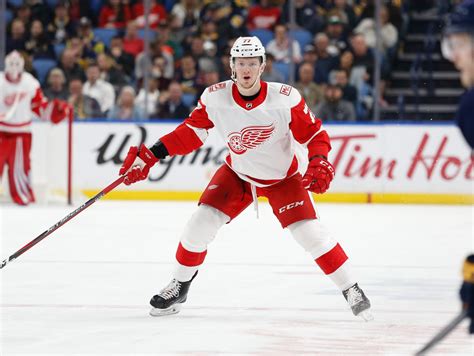 Detroit Red Wings: Evgeny Svechnikov decision very disappointing