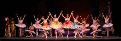 Sleeping Beauty, American Ballet Theatre 2007 - Nancy Ellison