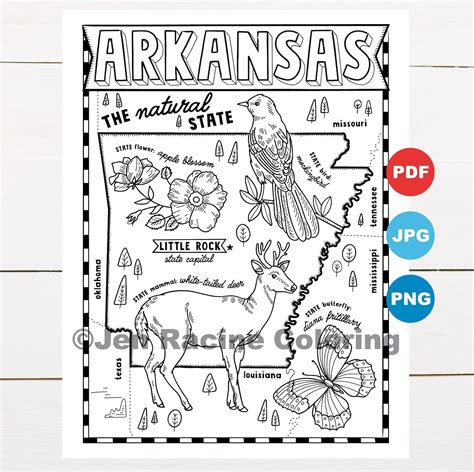 Arkansas Coloring Page United States State Map Wildlife - Etsy