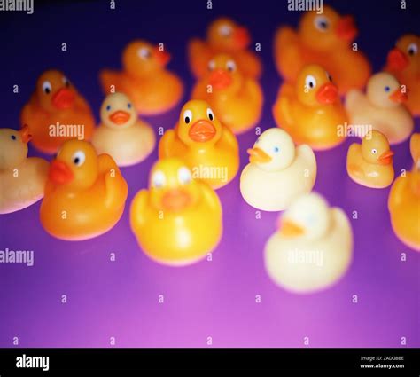 Rubber ducks of assorted sizes and types Stock Photo - Alamy