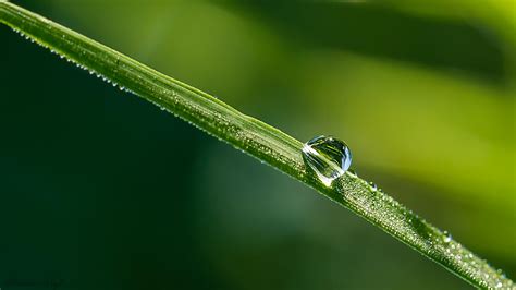 Water Drop Photography | Photography | Graphic Design Junction