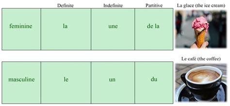 French Articles - Commonly Used Words