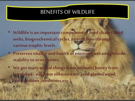 Wildlife conservation and its benefits