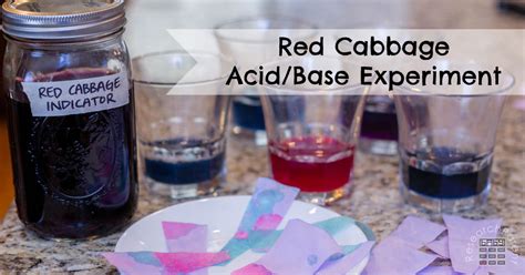 Red Cabbage Acid/Base Experiment - ResearchParent.com