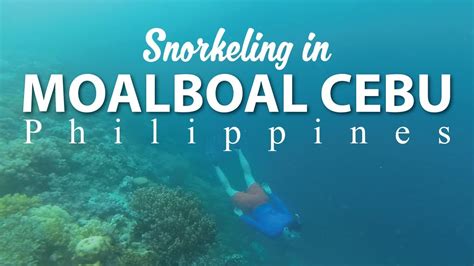 MOALBOAL CEBU Philippines (SNORKELING) - YouTube