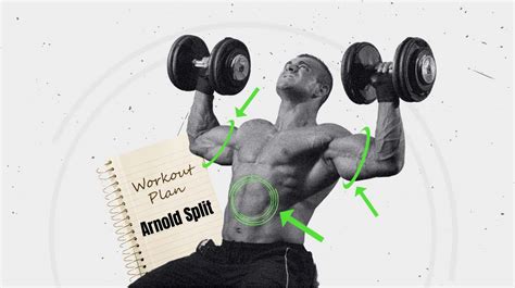 Arnold Schwarzenegger Workout Routine You - Infoupdate.org