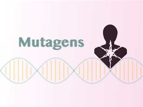 Mutagen: Definition, Types And Effect