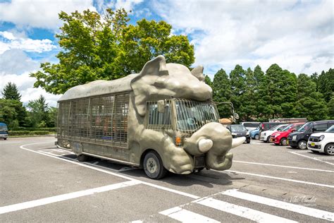 An African Safari in Beppu - Rare Photos by Viki Pandit