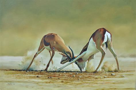 Springbok Contest Painting by Calvin Chimutuwah