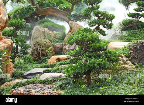 chinese garden plants Stock Photo - Alamy