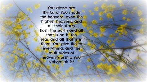 Scripture Saturday ~ Nehemiah 9:6 ~ Awe & Wonder ~ Intelligent Designer - Women in the Word