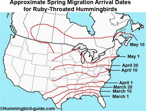 According to Hummingbird-guide.com, the hummingbirds are expected to arrive in Ohio by th… in ...