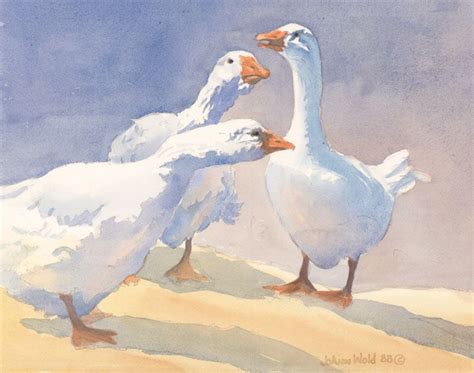 1000+ images about Geese, Ducks, Swans on Pinterest | Watercolor print ...