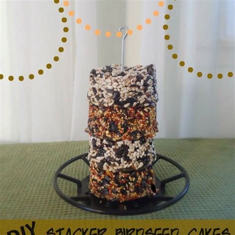 DIY Birdseed Cakes for Bird Feeders | Homemade bird feeders, Bird seed ...