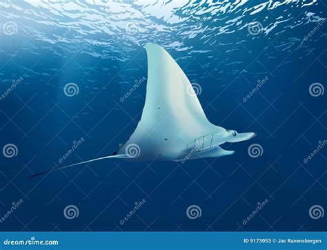 Underwater Stingray Sea Stock Photos - Image: 9173053