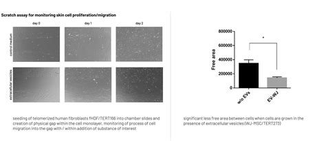 Scratch assay for monitoring skin cell proliferation / migration - Evercyte - Forever is just enough