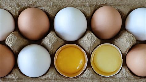 Is There A Nutritional Difference Between White And Brown Eggs?