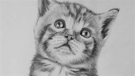 Animae Cats Skeches : Daily sketch_2 Cat by Lagunaya on DeviantArt - 1 ...