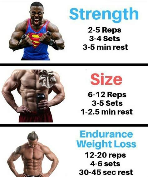 distinguished Strength, size and endurance | Best workout plan, Workout plan gym, Gym workout ...