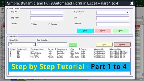 Fully Automated Data Entry Userform - TheDataLabs