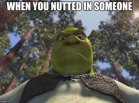 Shrek angry - Imgflip