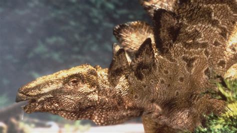 British Natural History Museum finds new stegosaurus species in Morocco | KidsNews