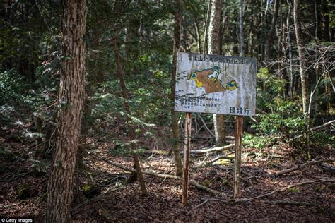 Haunting images from inside Japan's suicide forest | Daily Mail Online