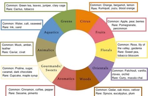 Fragrance Families Chart: A Visual Reference of Charts | Chart Master