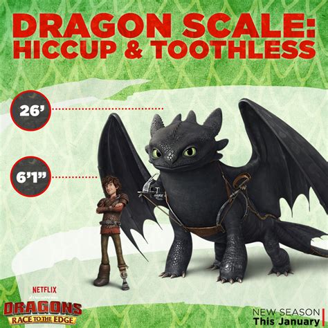 How To Train Your Dragon - Hiccup and Toothless are teammates, best friends,...